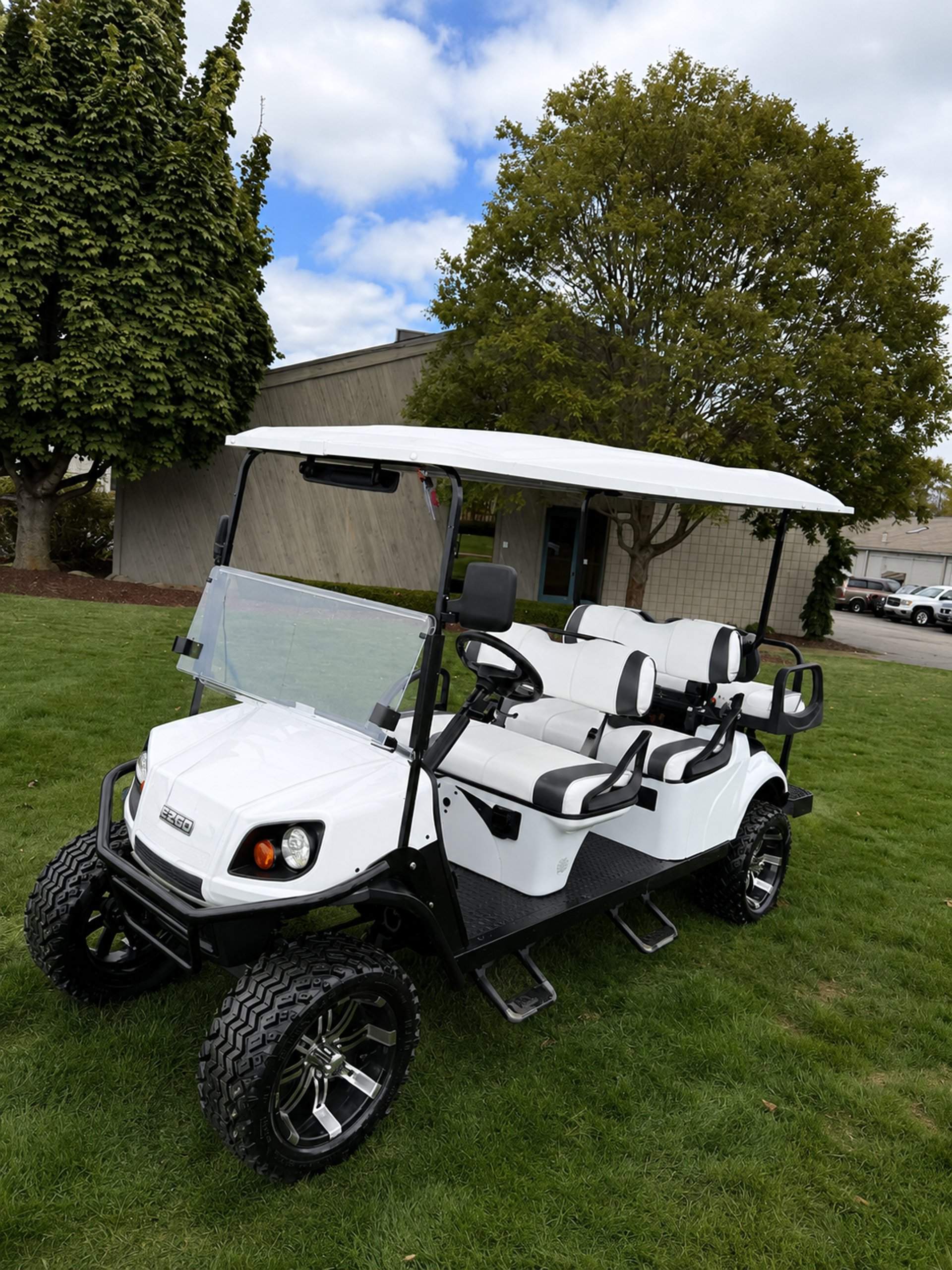 Buggy de golf en España — entrega 2